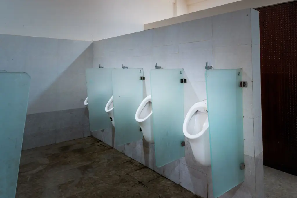 Boys Washroom in SIPS